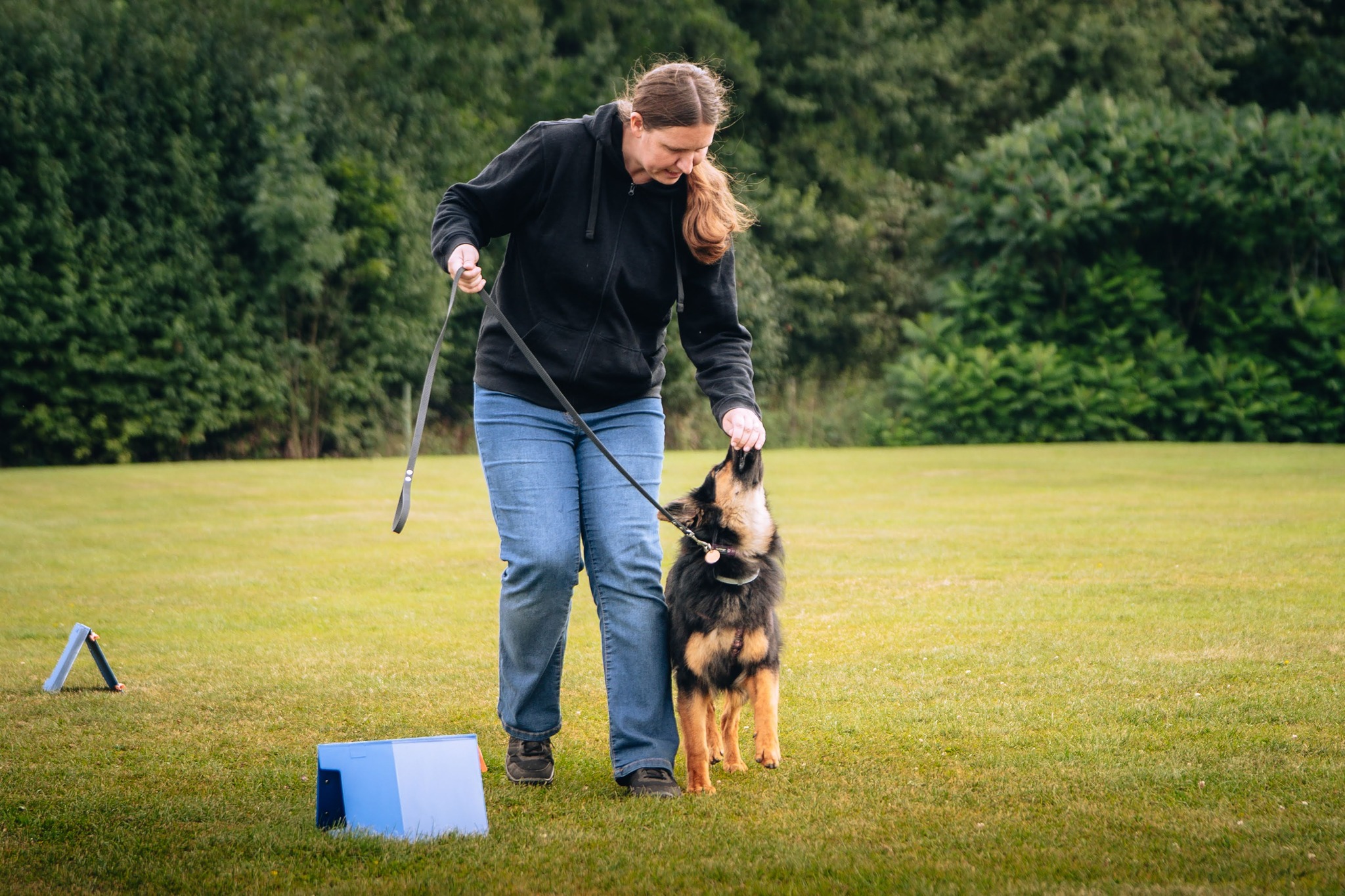Rally obedience - Geiris