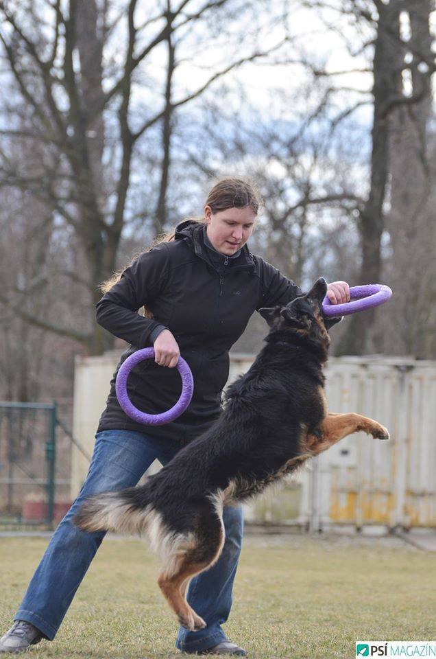 Dog Puller - Arlin Preberry, Marie Trauškeová